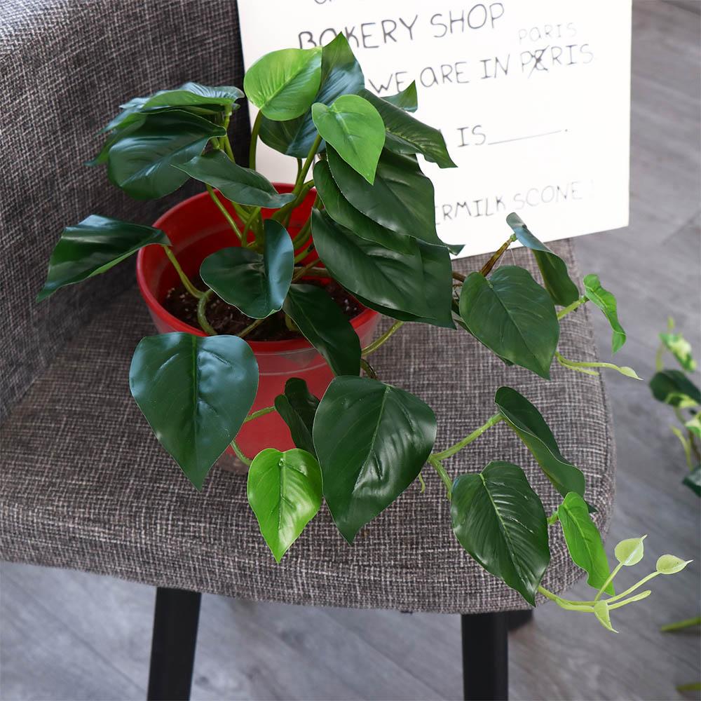 Bonsai Garden For Desk - 열대 북유럽 스타일 책상 사무실 정원