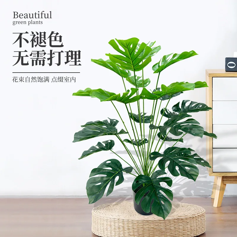실물 같은 인조 거북잎 분재 화분, 가정 사무실 책상  - Bonsai Garden For Desk 리뷰 및 가격