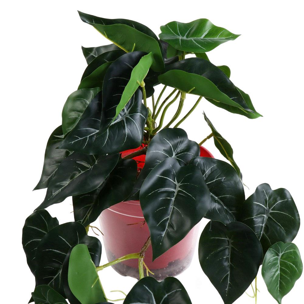 열대 북유럽 스타일 책상 사무실 정원 장식용 가정용 나 - Bonsai Garden For Desk 리뷰 및 가격