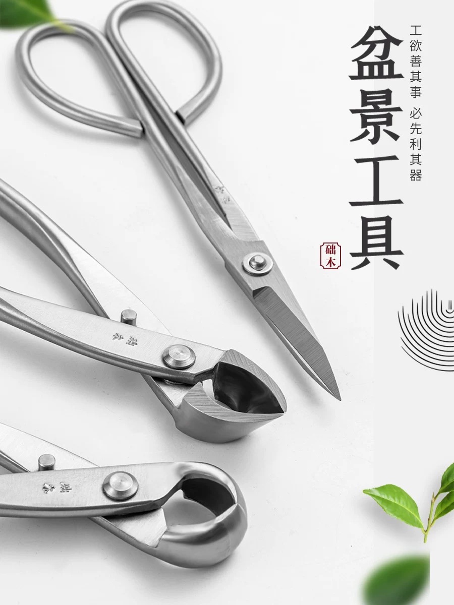 분재 도구 세트(3개) 가지치기 가위, 손잡이형 가위, - Concave Branch Cutter 리뷰 및 가격