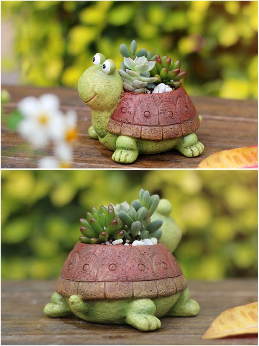귀여운 거북이 화분 다육 분재 선인장 식물 화분, 여아 - Bonsai Garden For Desk 리뷰 및 가격