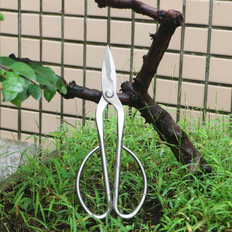 올스틸 정원 가위, 잎, 새싹, 꽃 가위, 가정용 꽃  - Concave Branch Cutter 리뷰 및 가격