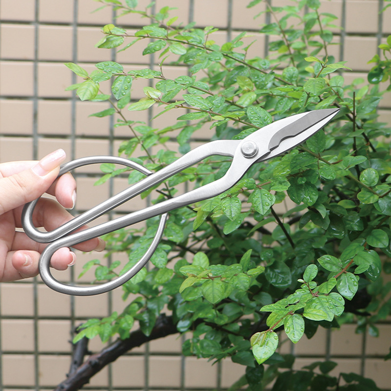 올스틸 정원 가위, 잎, 새싹, 꽃 가위, 가정용 꽃  - Concave Branch Cutter 리뷰 및 가격
