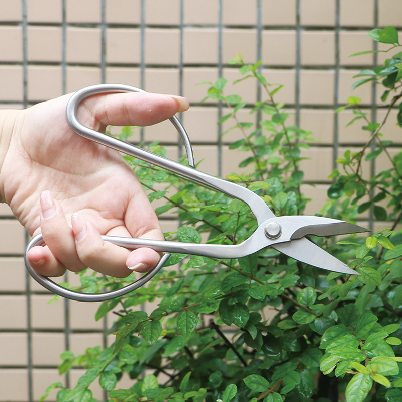 올스틸 정원 가위, 잎, 새싹, 꽃 가위, 가정용 꽃  - Concave Branch Cutter 리뷰 및 가격