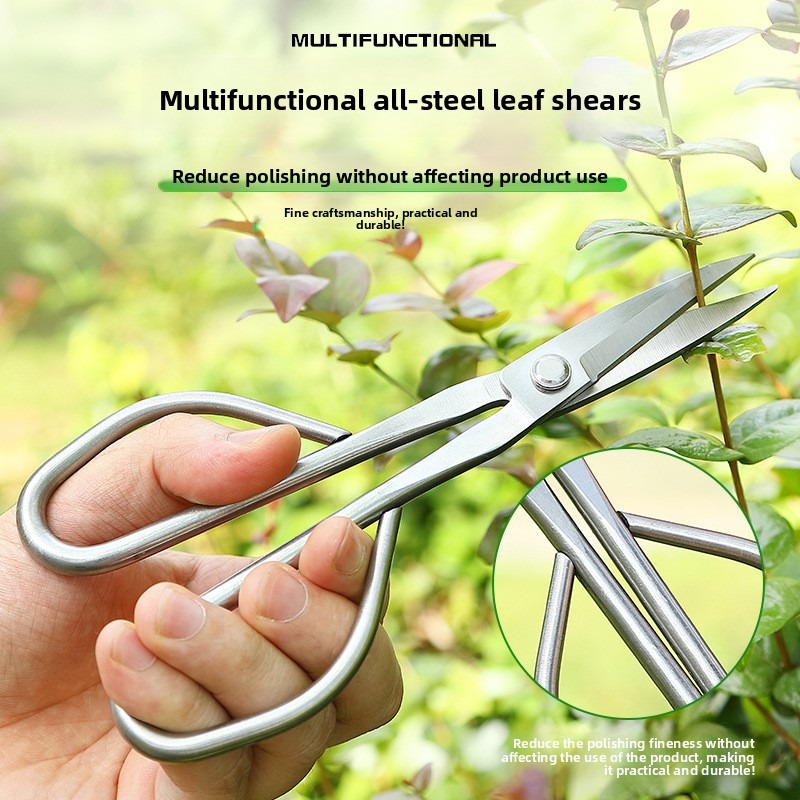 어린잎 가위 분재 도구 가지 가위 연장형 스테인리스 정 - Concave Branch Cutter 리뷰 및 가격