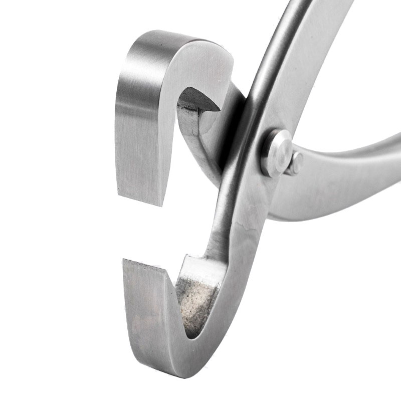 2개 세트 210mm 스테인리스 스틸 분재 도구 세트  - Concave Branch Cutter 리뷰 및 가격
